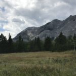 International Selfcare Day Hike- July 24, 2020